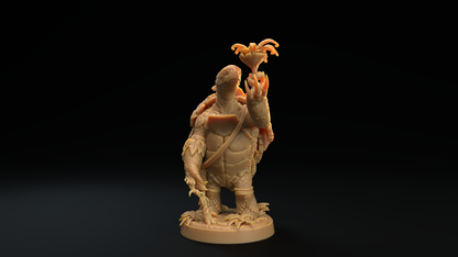 Tortuga Druida