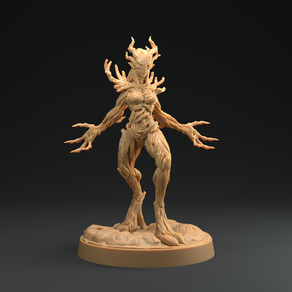 Druida Arbórea 4