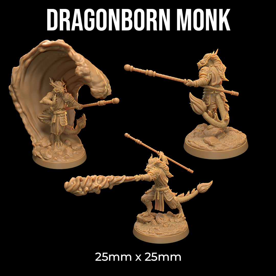 Monjes Draconianos - Dragon Born Monk