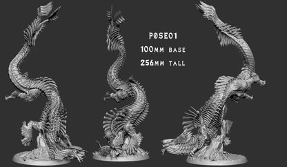 Jin Dahaad - Pose 1