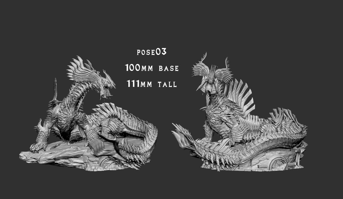 Jin Dahaad - Pose 3