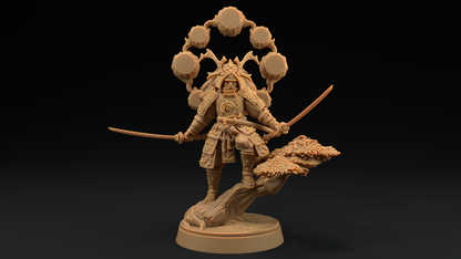 Samurai Celestial