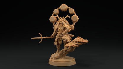 Samurai Celestial