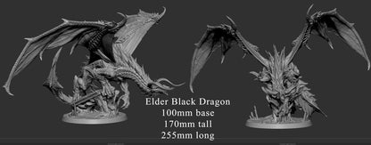 Dragón Negro Anciano