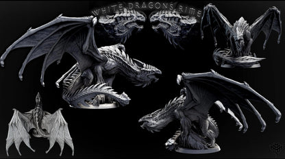 Dragón Blanco Adulto